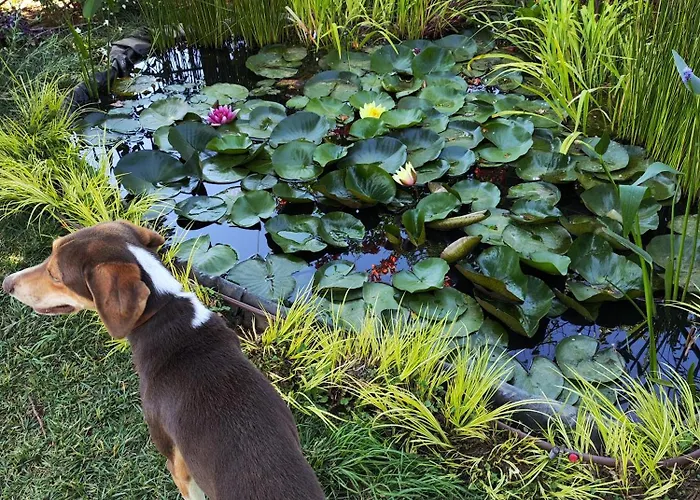 Of Silence Appartement